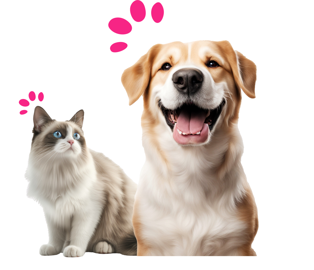 Royal canin cat and dog
